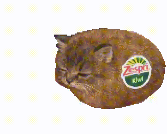 IMG_7410.gif