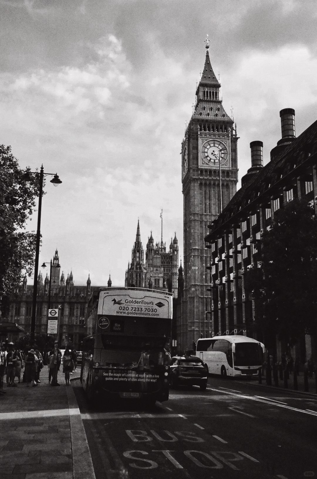 IMG_1456.jpeg
