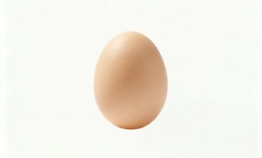c4645d3fd0015921_thumb.jpg