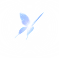 1783332755605.png