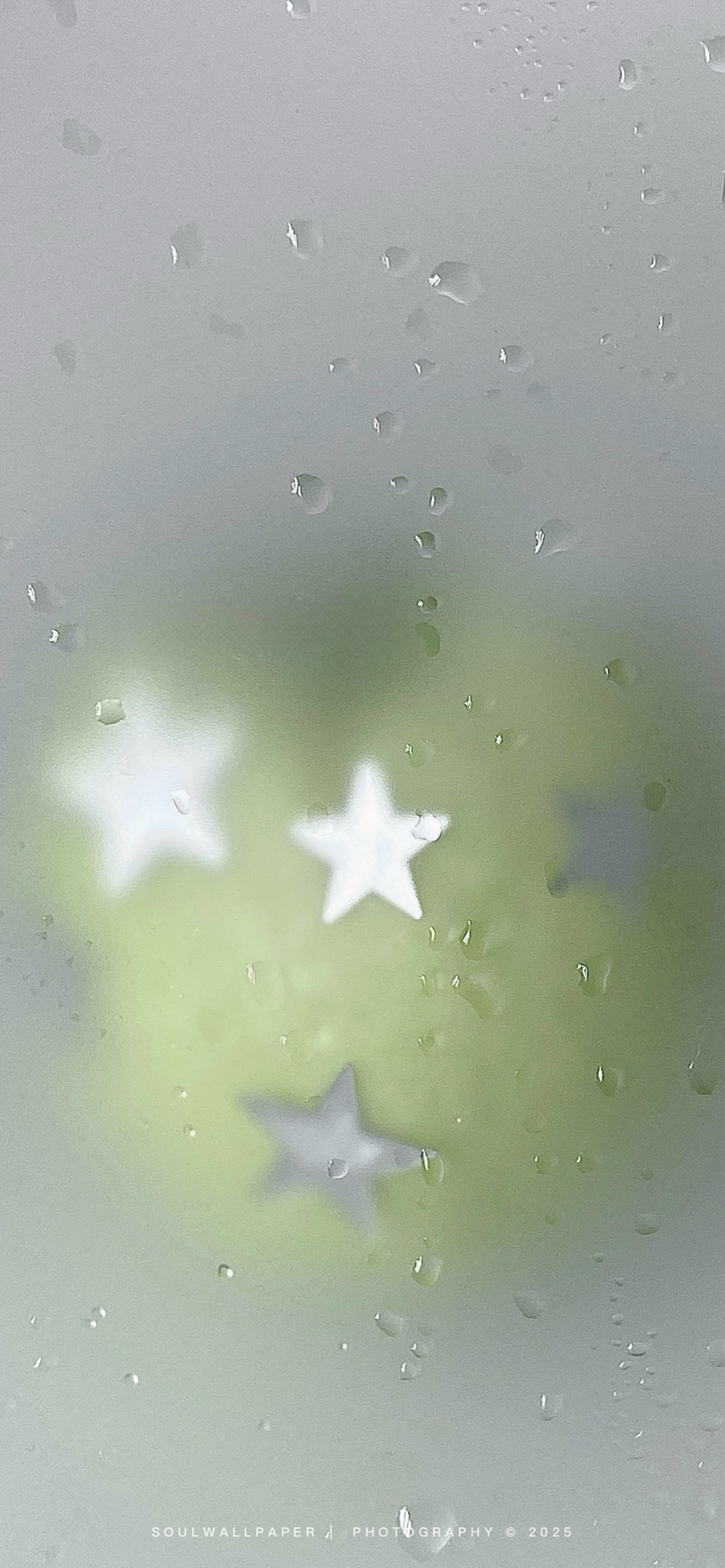IMG_0232.png