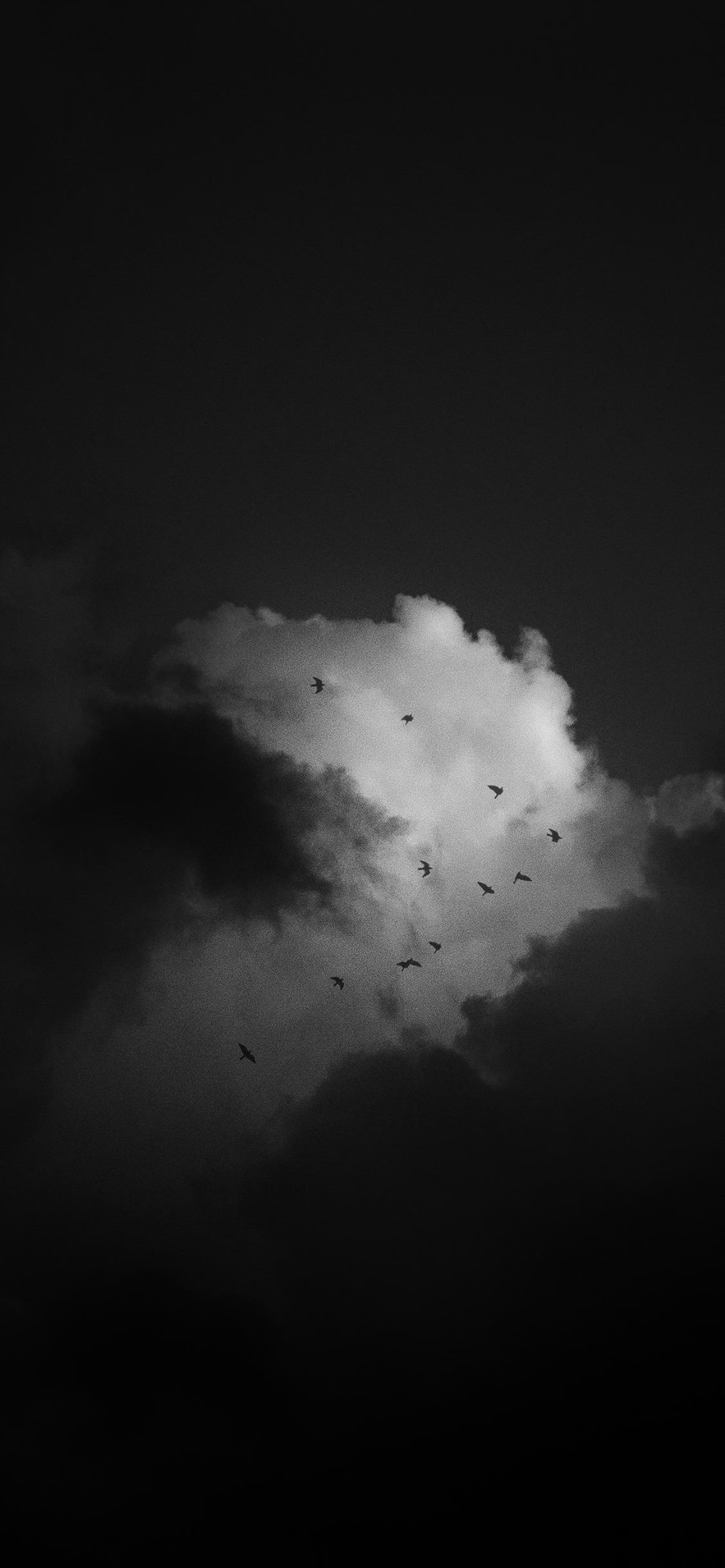 IMG_4385.png