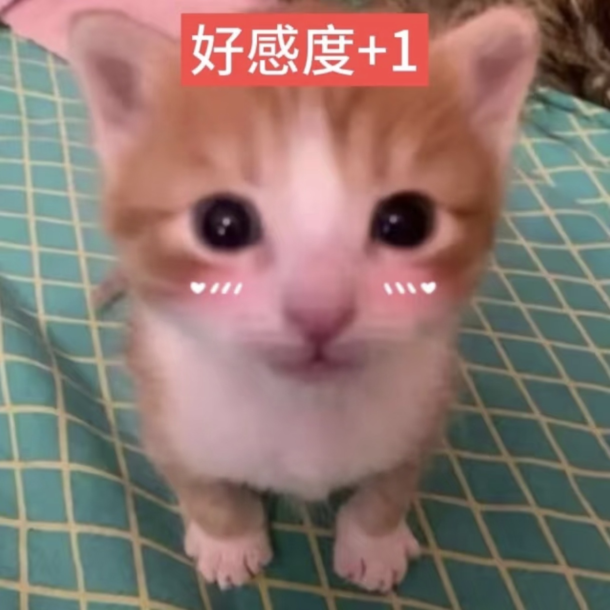 Screenshot_20260713_145321_com_xingin_xhs_edit_2321632914174907.jpg