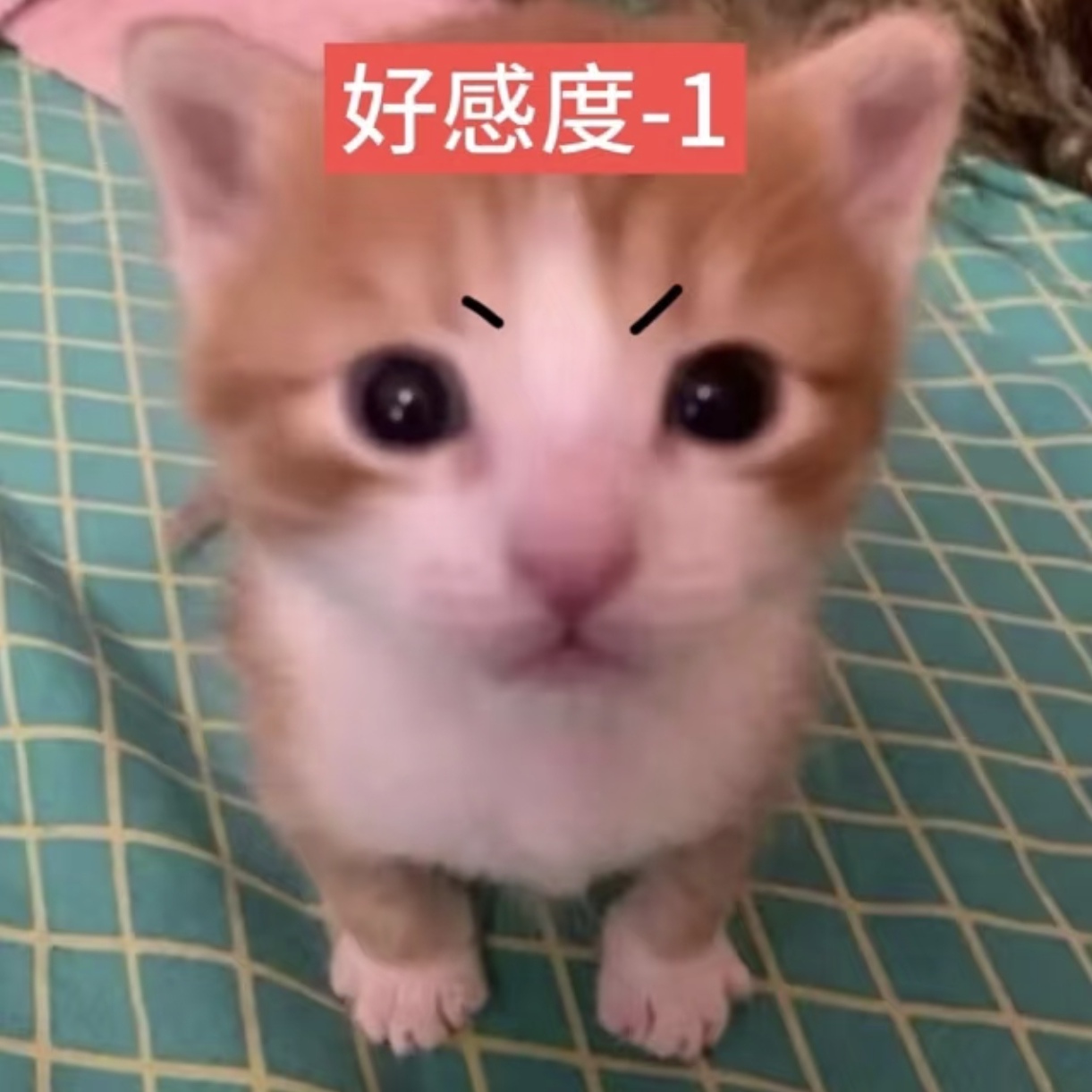 Screenshot_20260713_145332_com_xingin_xhs_edit_2321637763445219.jpg