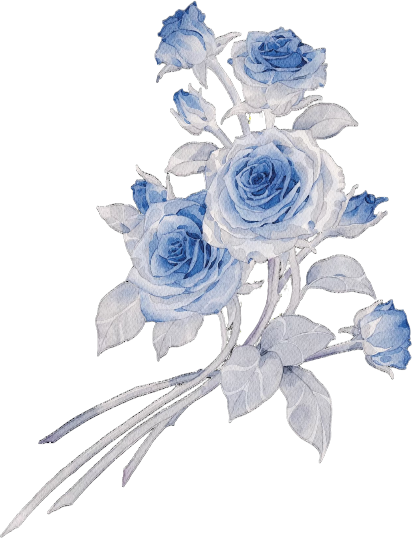 1000064324.png