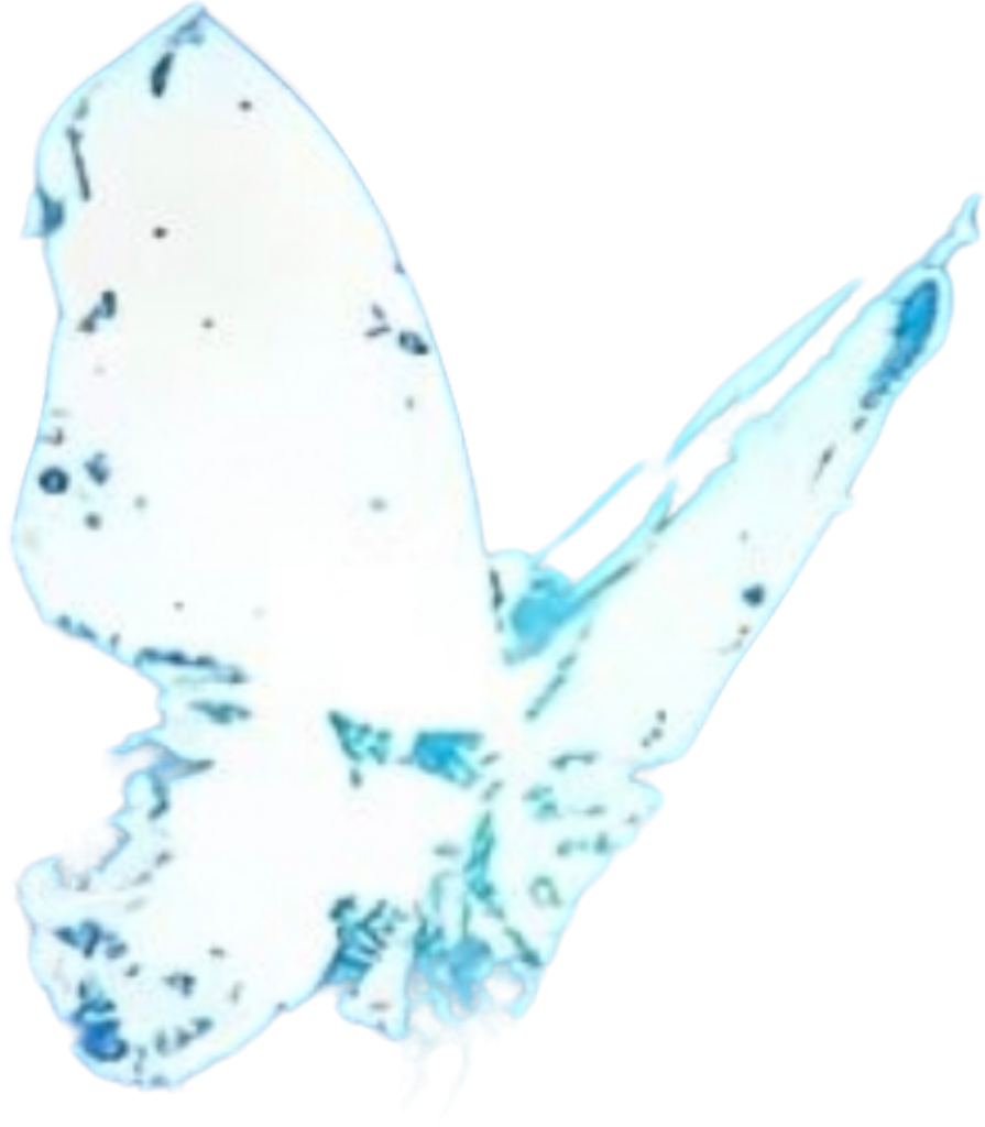 1000064335.png