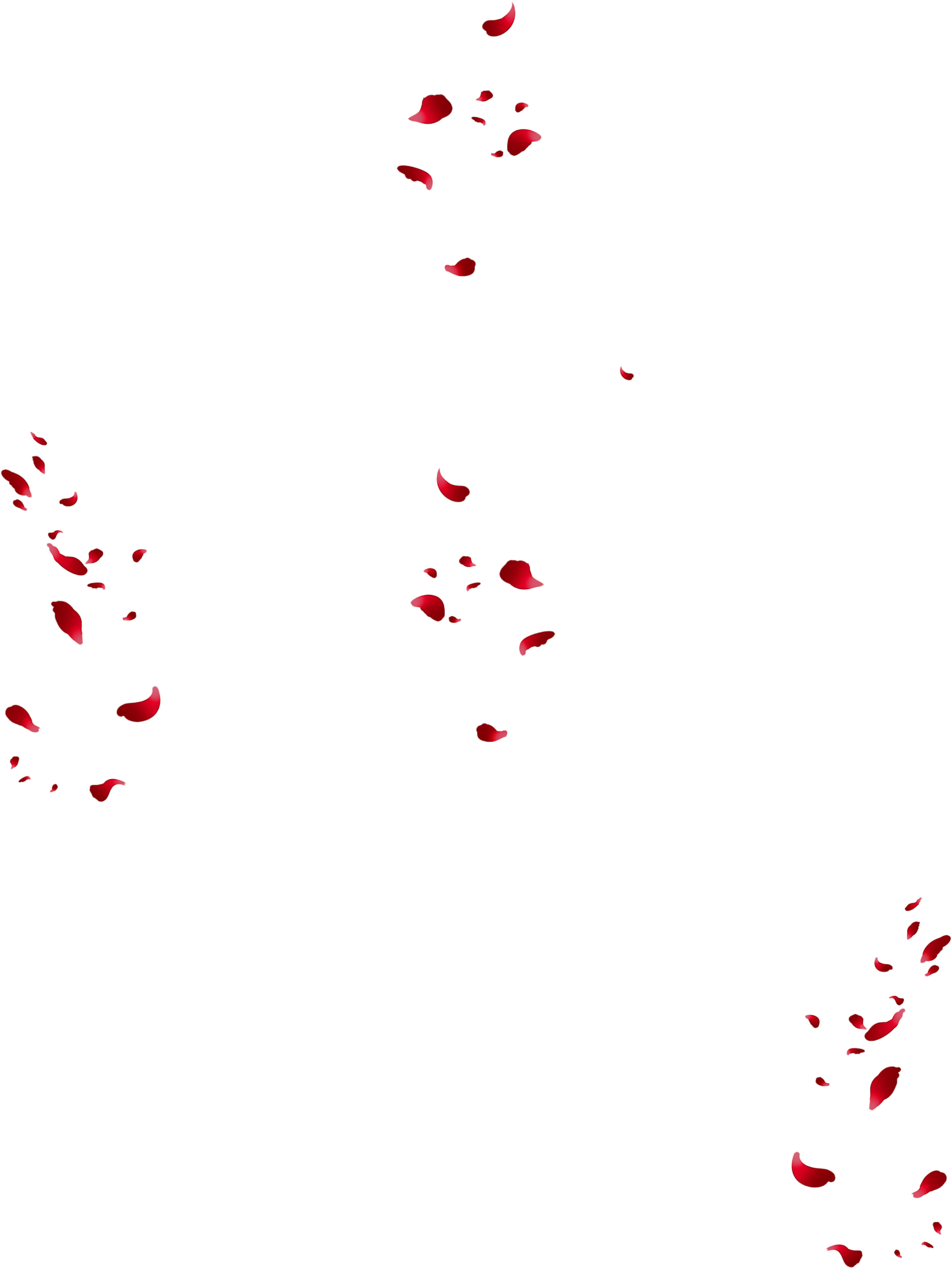 1000065254.png