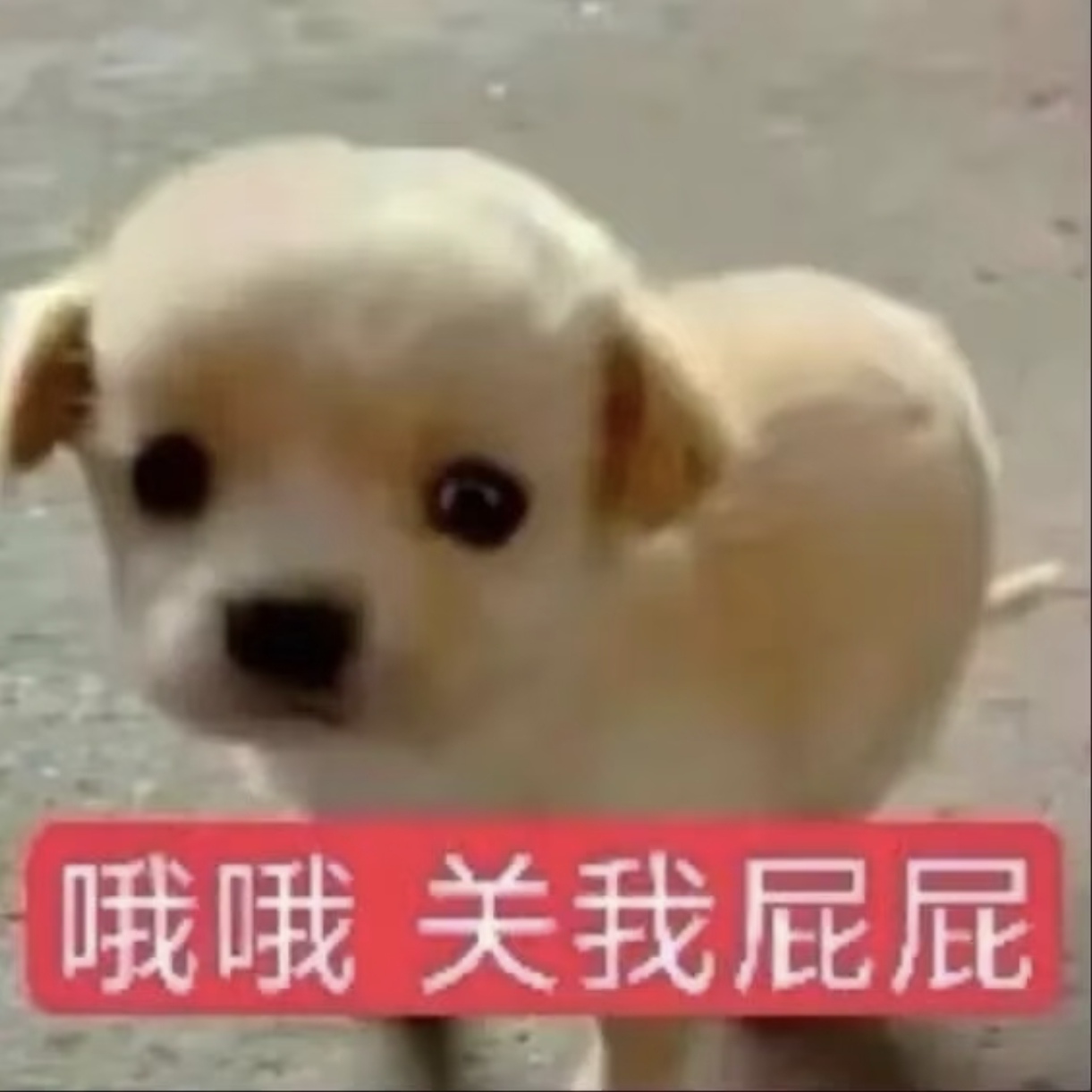 Screenshot_20260811_225619_com_xingin_xhs_edit_483045946509623.jpg