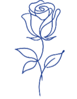 1000068710.png