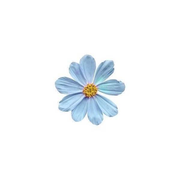 1000050613.png