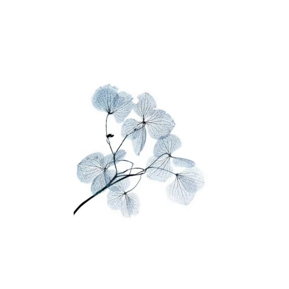 1000050608.png