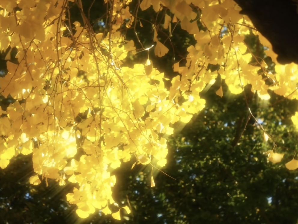 1000069355.jpg