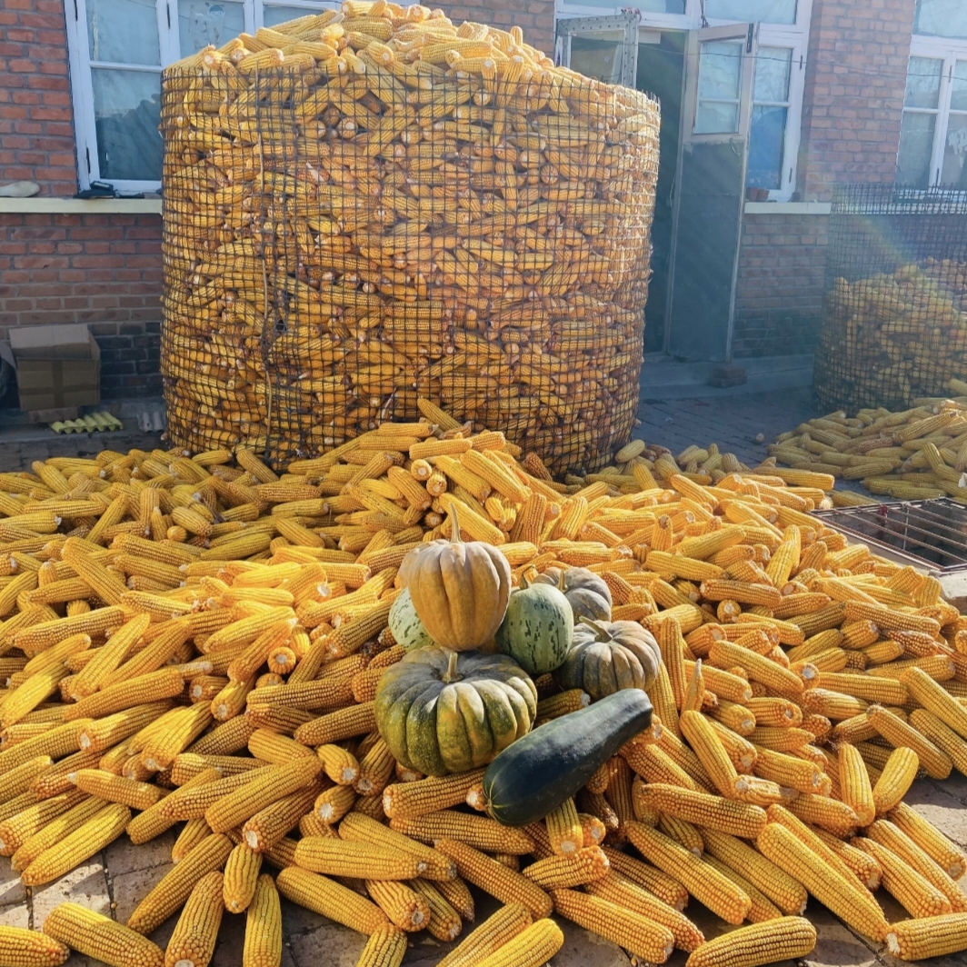 1000069744.jpg