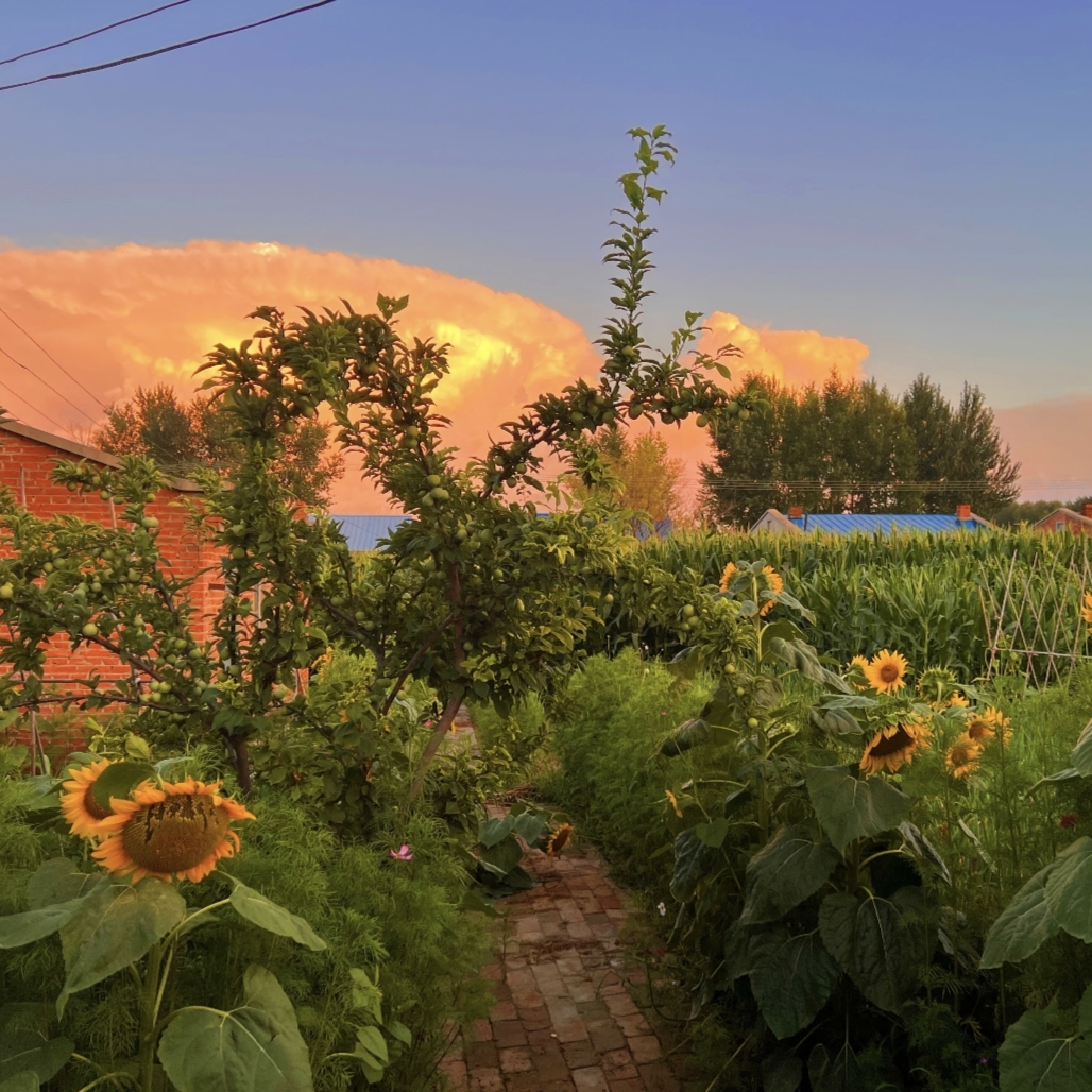 1000069743.jpg
