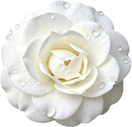retouch_2026100813083735.png
